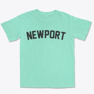 Newport Wisconsin Classic Curve Premium Heavyweight T-shirt