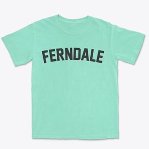 Ferndale Michigan Classic Curve Premium Heavyweight T-shirt