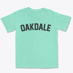 Oakdale Nebraska Classic Curve Premium Heavyweight T-shirt
