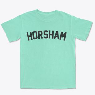 Horsham Pennsylvania Classic Curve Premium Heavyweight T-shirt