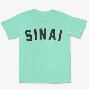 Sinai South Dakota Classic Curve Premium Heavyweight T-shirt