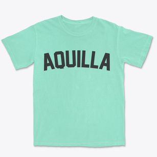 Aquilla Texas Classic Curve Premium Heavyweight T-shirt
