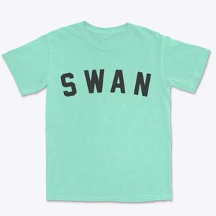 Swan Iowa Classic Curve Premium Heavyweight T-shirt