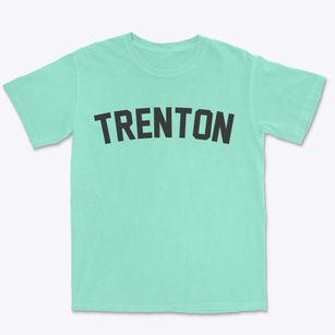 Trenton New Jersey Classic Curve Premium Heavyweight T-shirt