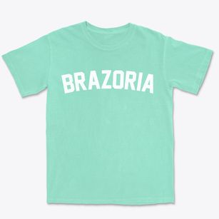 Brazoria Texas Classic Curve Premium Heavyweight T-shirt