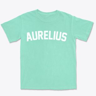 Aurelius New York Classic Curve Premium Heavyweight T-shirt