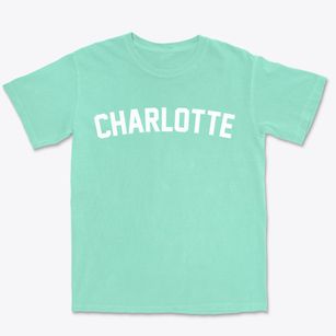 Charlotte Texas Classic Curve Premium Heavyweight T-shirt
