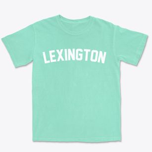 Lexington South Carolina Classic Curve Premium Heavyweight T-shirt