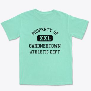 Gardnertown New York Athletic Dept Premium Heavyweight T-shirt