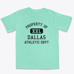 Dallas Texas Athletic Dept Premium Heavyweight T-shirt