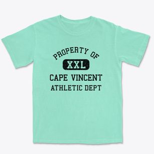 Cape Vincent New York Athletic Dept Premium Heavyweight T-shirt
