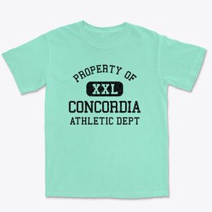 Concordia Missouri Athletic Dept Premium Heavyweight T-shirt