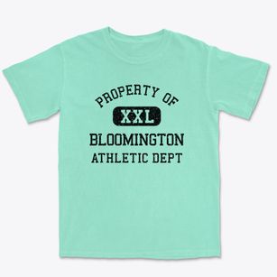 Bloomington Texas Athletic Dept Premium Heavyweight T-shirt