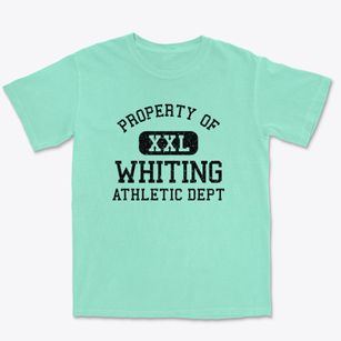 Whiting Wisconsin Athletic Dept Premium Heavyweight T-shirt