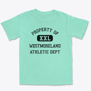 Westmoreland New Hampshire Athletic Dept Premium Heavyweight T-shirt