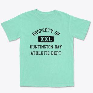Huntington Bay New York Athletic Dept Premium Heavyweight T-shirt