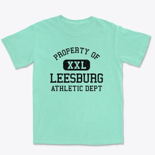 Leesburg Ohio Athletic Dept Premium Heavyweight T-shirt