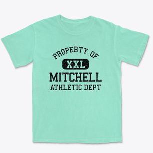 Mitchell Illinois Athletic Dept Premium Heavyweight T-shirt