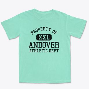 Andover Ohio Athletic Dept Premium Heavyweight T-shirt