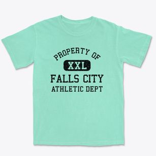 Falls City Oregon Athletic Dept Premium Heavyweight T-shirt