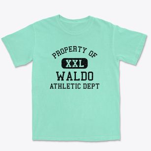 Waldo Maine Athletic Dept Premium Heavyweight T-shirt