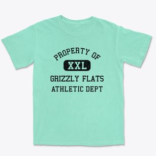 Grizzly Flats California Athletic Dept Premium Heavyweight T-shirt