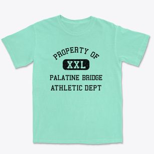Palatine Bridge New York Athletic Dept Premium Heavyweight T-shirt