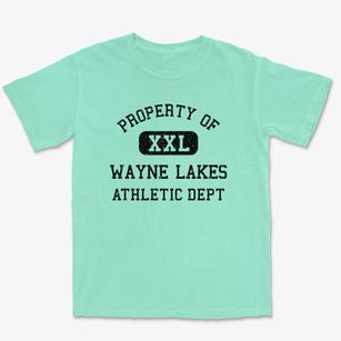 Wayne Lakes Ohio Athletic Dept Premium Heavyweight T-shirt
