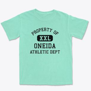 Oneida Illinois Athletic Dept Premium Heavyweight T-shirt
