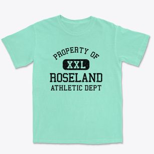 Roseland Indiana Athletic Dept Premium Heavyweight T-shirt