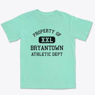 Bryantown Maryland Athletic Dept Premium Heavyweight T-shirt