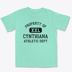 Cynthiana Indiana Athletic Dept Premium Heavyweight T-shirt