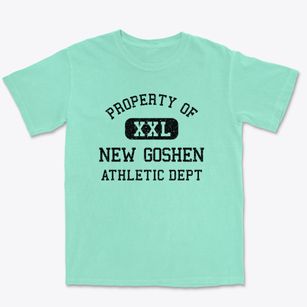 New Goshen Indiana Athletic Dept Premium Heavyweight T-shirt