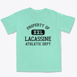 Lacassine Louisiana Athletic Dept Premium Heavyweight T-shirt