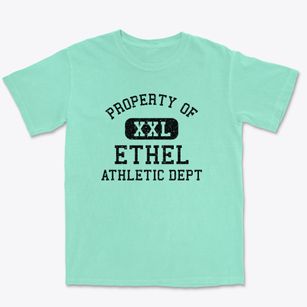 Ethel Mississippi Athletic Dept Premium Heavyweight T-shirt