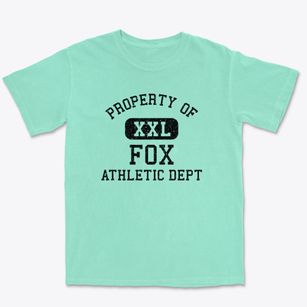 Fox Alaska Athletic Dept Premium Heavyweight T-shirt