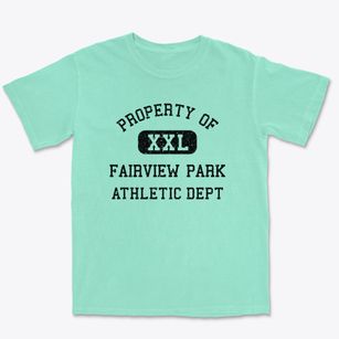 Fairview Park Ohio Athletic Dept Premium Heavyweight T-shirt