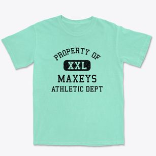Maxeys Georgia Athletic Dept Premium Heavyweight T-shirt