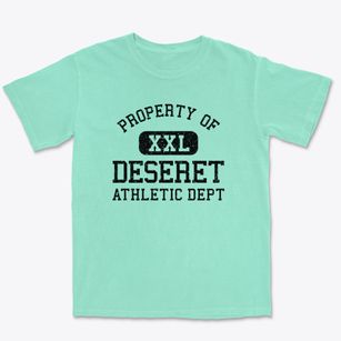 Deseret Utah Athletic Dept Premium Heavyweight T-shirt