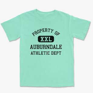 Auburndale Florida Athletic Dept Premium Heavyweight T-shirt