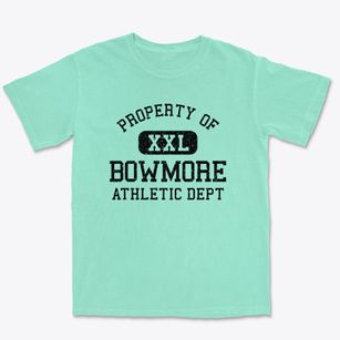 Bowmore North Carolina Athletic Dept Premium Heavyweight T-shirt