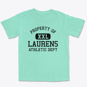 Laurens South Carolina Athletic Dept Premium Heavyweight T-shirt