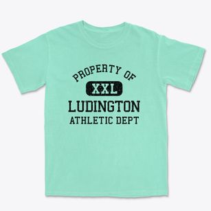 Ludington Michigan Athletic Dept Premium Heavyweight T-shirt