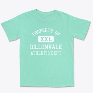 Dillonvale Ohio Athletic Dept Premium Heavyweight T-shirt