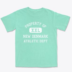 New Denmark Wisconsin Athletic Dept Premium Heavyweight T-shirt