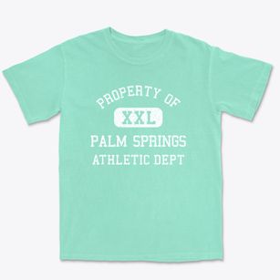 Palm Springs Florida Athletic Dept Premium Heavyweight T-shirt