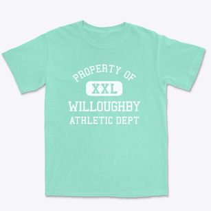 Willoughby Ohio Athletic Dept Premium Heavyweight T-shirt