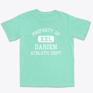 Darien Illinois Athletic Dept Premium Heavyweight T-shirt