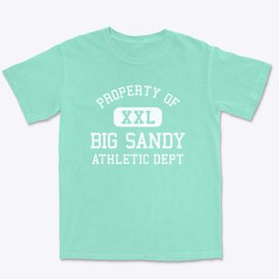 Big Sandy Tennessee Athletic Dept Premium Heavyweight T-shirt
