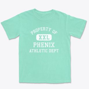Phenix Virginia Athletic Dept Premium Heavyweight T-shirt